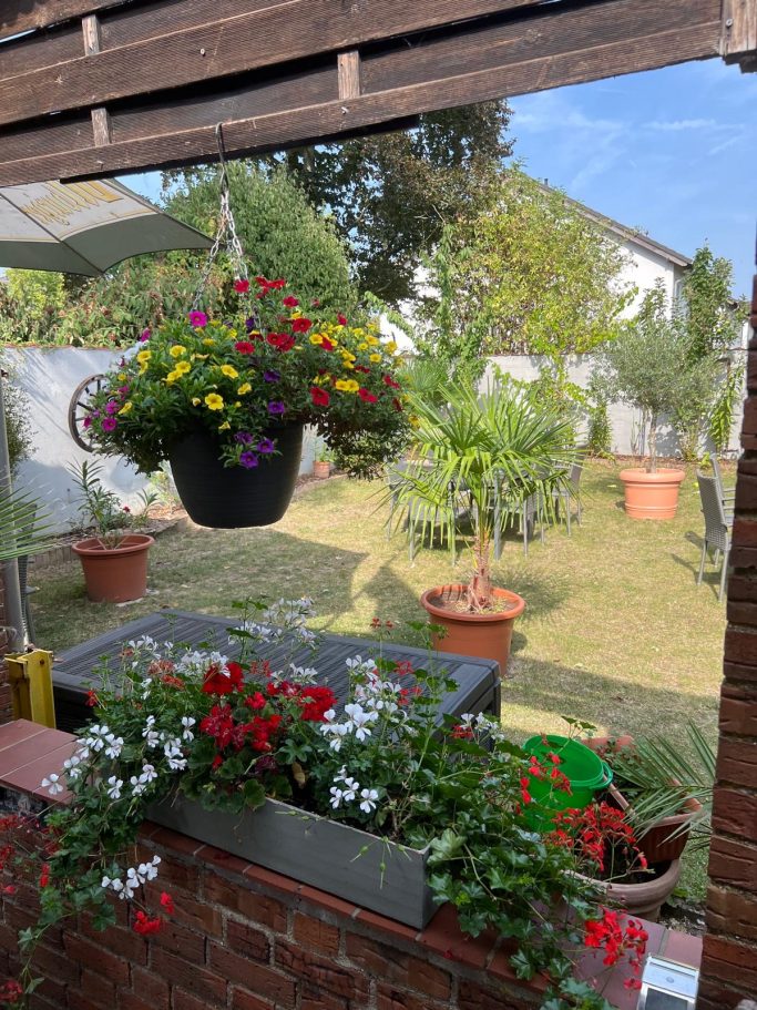 Blühende Pflanzen in Hängekästen und im Garten mit Töpfen und frischem Grün.